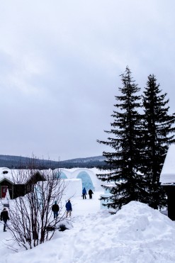 Icehotel186