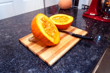pumpkin pie_005